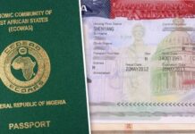 Carry Passports, Visas, Other Documents At All Times – US Varsities Tell Nigerians, Foreign Nationals Amid Immigration Crackdown Nigeria-Passport-US-Visa