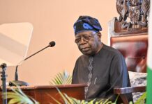 THEWILL EDITORIAL: Tinubu’s New Economic Advisory Committee Must Deliver Results President Bola Tinubu
