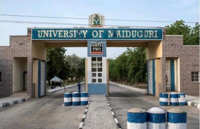 University of Maiduguri