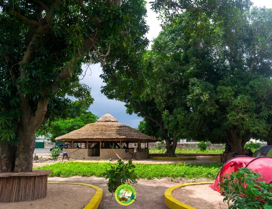 Ecotourism environment - THEWILL NEWS MEDIA Ecotourism environment