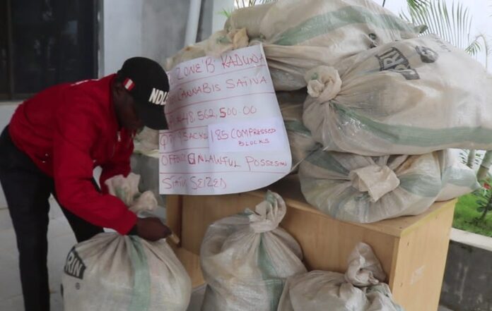 Customs Intercepts Cannabis Worth N48.5m In Kaduna