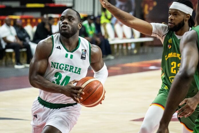 D'Tigers D'Tigers
