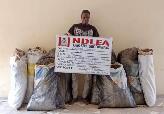 NDLEA Intercepts Cocaine, Tramadol NDLEA Intercepts Cocaine, Tramadol
