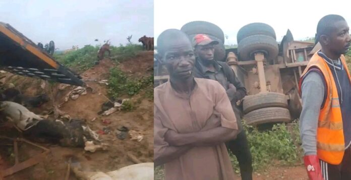 Niger Accident Niger Accident