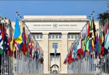 UN Rallies Global Support For Release Of 118 Detained Staff Worldwide United Nations