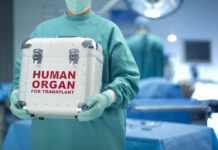 THEWILL EDITORIAL: Alarming Cases of Organ Harvesting Human Organ