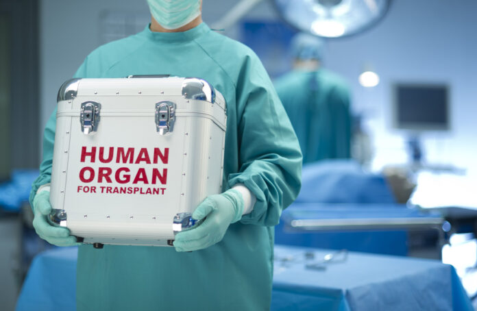 Human Organ