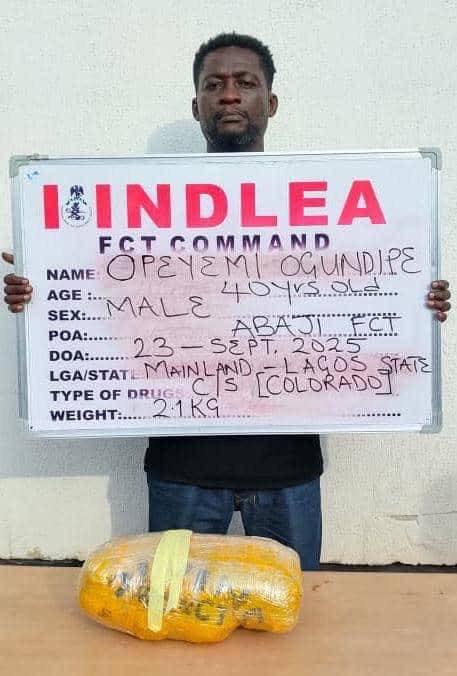 OpeYemi ogundipe OpeYemi ogundipe