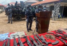 THEWILL EDITORIAL: Worrisome Development from Katsina Police Detain 957 Alleged Terrorists, Armed Robbers, Kidnappers in Imo