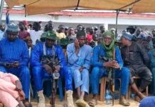 THEWILL EDITORIAL: Katsina State’s Appeasement of Bandits peace deal between the Katsina and wanted bandits