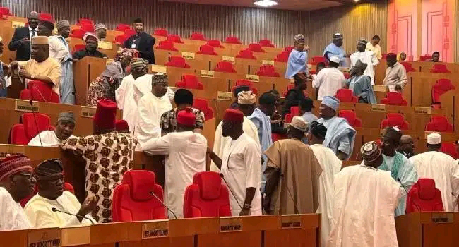 Senate Swears In Nwachukwu, Ikpea As New Members Senate Swears In Nwachukwu, Ikpea As New Members