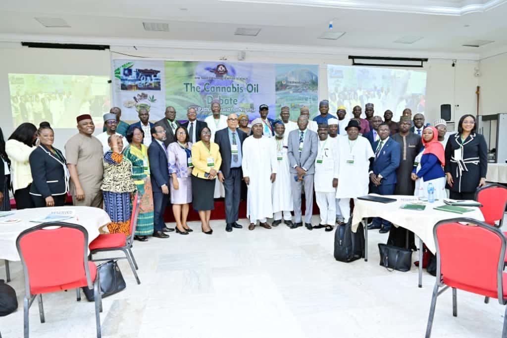 Why NDLEA Okays Regulated Cannabis Oil Export, Opposes Local Use – Marwa. - THEWILL NEWS MEDIA Why NDLEA Okays Regulated Cannabis Oil Export, Opposes Local Use – Marwa