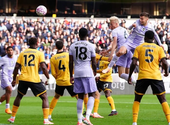 Wolves vs Brighton