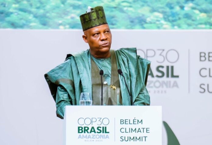 Kashim Shettima At COP 30
