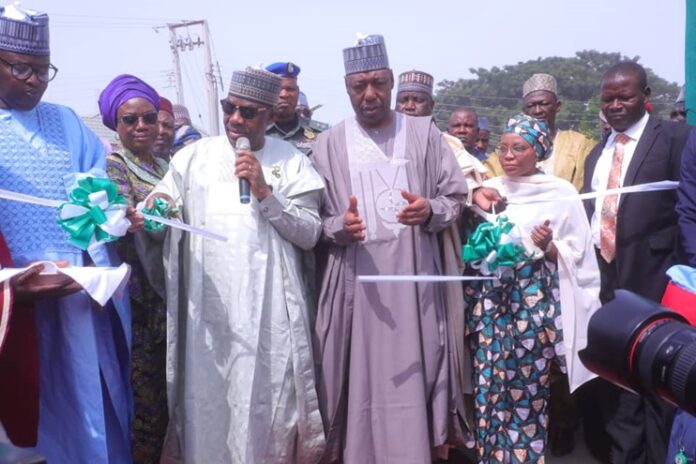 Education Minister and Zulum Education Minister and Zulum