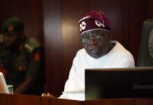 OPINION: Dear President Asiwaju Bola Ahmed Tinubu Tinubu