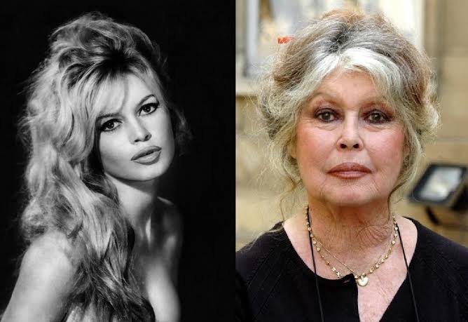 French Film Icon Brigitte Bardot Dies Aged 91