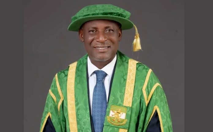 Professor Daniel Nwachukwu
