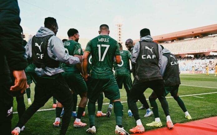 South africa team