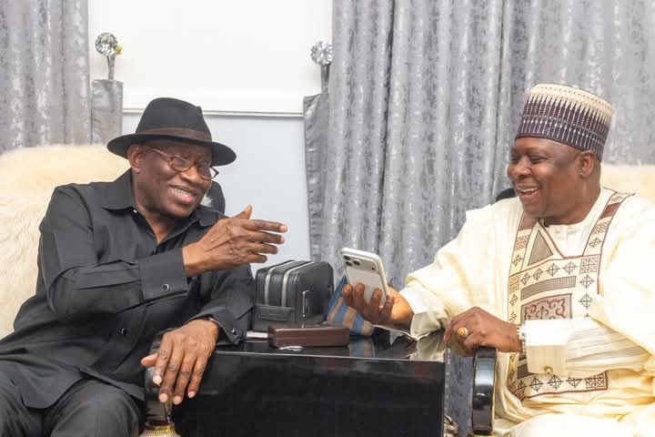 Goodluck Jonathan and Kabiru Tanimu Turaki - THEWILL NEWS MEDIA Goodluck Jonathan and Kabiru Tanimu Turaki