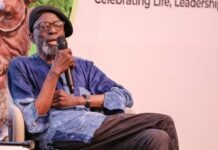 OPINION: Biodun Jeyifo, The Literati And ASUU Biodun Jeyifo