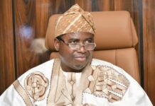 THEWILL EDITORIAL: INEC on the Spotlight Again Amupitan