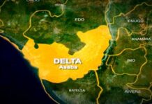 THEWILL EDITORIAL: That Horror Incident in Ozoro Delta State-map