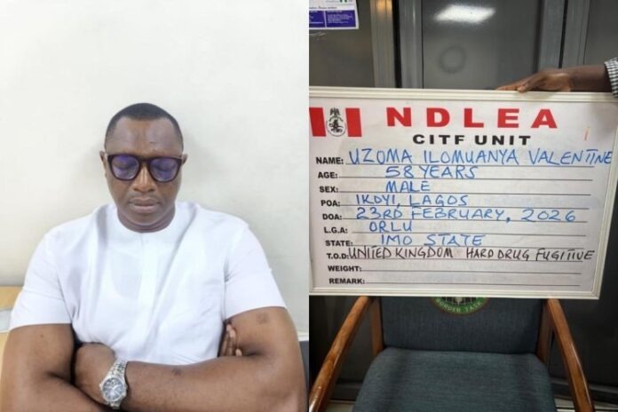 NDLEA Nabs UK-Wanted Drug Kingpin After 15 Years on the Run NDLEA Nabs UK-Wanted Drug Kingpin After 15 Years on the Run