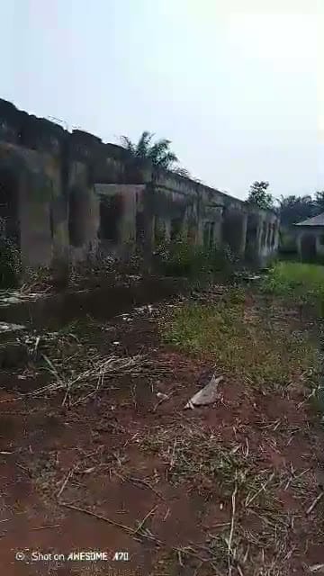 ₦1bn Not Enough To Rebuild LG Razed By Hoodlums In Orsu - Council Chairman - THEWILL NEWS MEDIA ₦1bn Not Enough To Rebuild LG Razed By Hoodlums In Orsu - Council Chairman