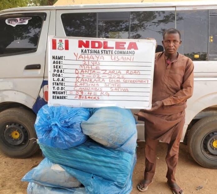 NDLEA Arrests Drug Kingpin After 13 Years in Hiding