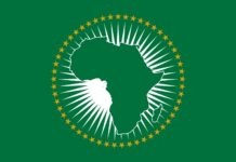 OPINION: The Pan-Africanism We Actually Need The Pan-Africanism We Actually Need