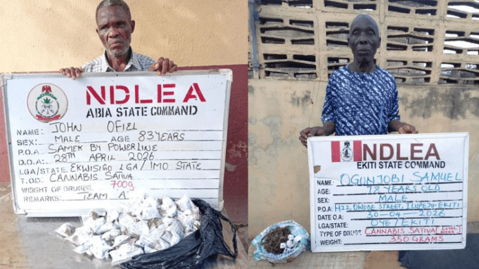 NDLEA Arrests Elderly Suspects For Drug Trafficking In Abia, Ekiti, Nabs Notorious Ibadan Drug Dealer NDLEA Arrests Elderly Suspects For Drug Trafficking In Abia, Ekiti, Nabs Notorious Ibadan Drug Dealer