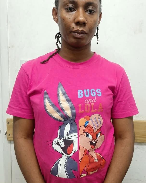IMG_5723 - THEWILL NEWS MEDIA Person wearing a pink T-shirt featuring Bugs and Lola Bunny split across the torso from a half-body view.