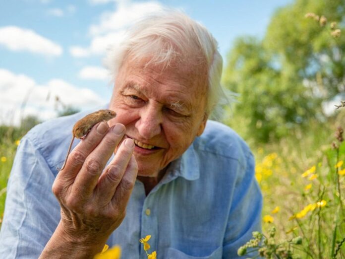 Renowned Broadcaster Sir David Attenborough Turns 100, Receives Global Tributes