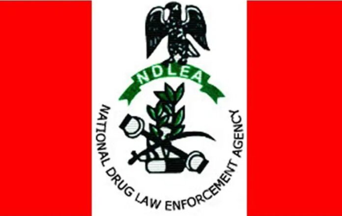 Flag of Nigeria featuring the NDLEA emblem in the center.