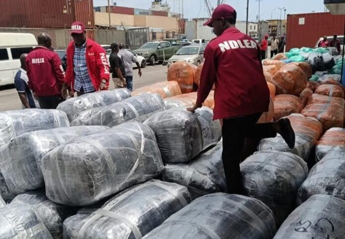 NDLEA Intercepts ₦10.4bn Canadian Loud NDLEA Intercepts ₦10.4bn Canadian Loud