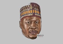 PDP’s Hollow LGA Victory in Adamawa
