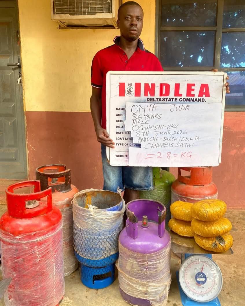 NDLEA - THEWILL NEWS MEDIA NDLEA