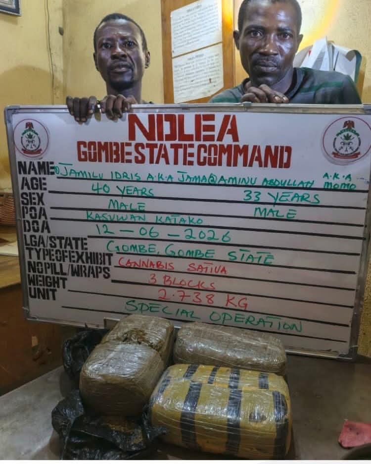 NDLEA - THEWILL NEWS MEDIA NDLEA