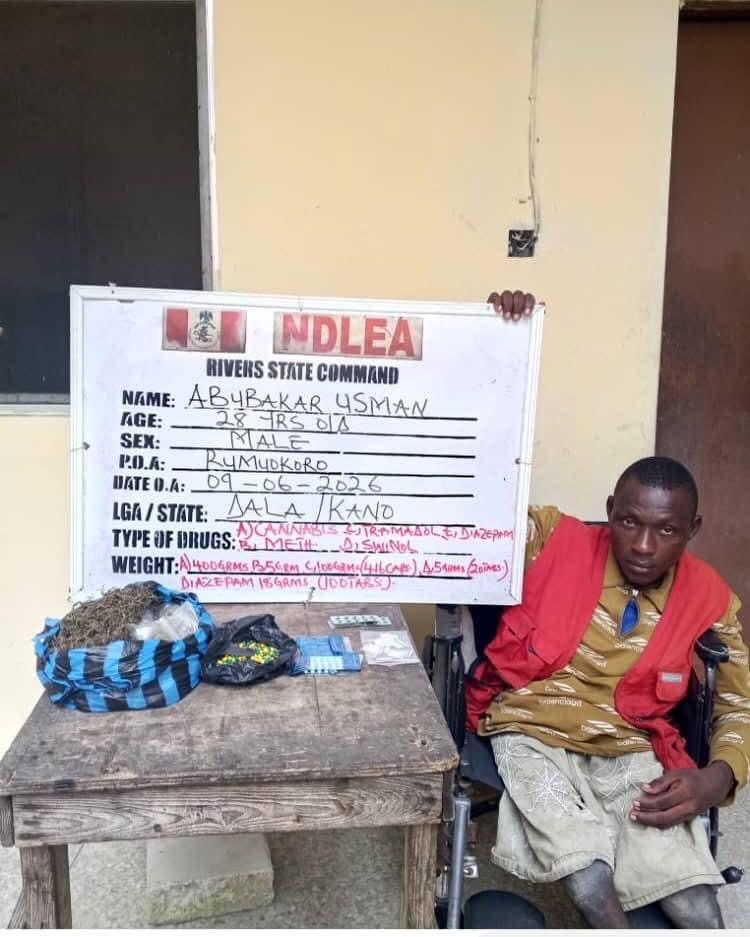 NDLEA - THEWILL NEWS MEDIA NDLEA