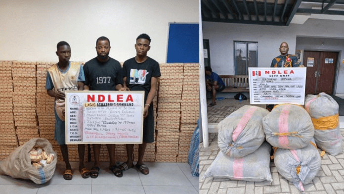 image_750x_6a402b56ce5b1 Two-panel photo: left shows three men standing behind an NDLEA Lagos display board with stacked boxes and a bag of seized items; right shows a man with an NDLEA sign beside large sacks at a building entrance.