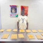 NDLEA Smashes ₦10bn Drug Syndicates, Seizes Cocaine, Canadian Loud, Opioids At Lagos Ports