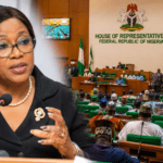 THEWILL EDITORIAL: Lessons from the House Committee Investigation of PFIPC Scandal