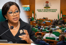 THEWILL EDITORIAL: Lessons from the House Committee Investigation of PFIPC Scandal