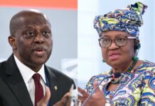 Okonjo-Iweala, Cardoso Warn Africa to Rethink Trade Strategy as Global Rules Shift Cardoso, Okonjo-Iweala
