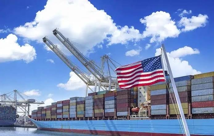 Container ship - THEWILL NEWS MEDIA Container ship