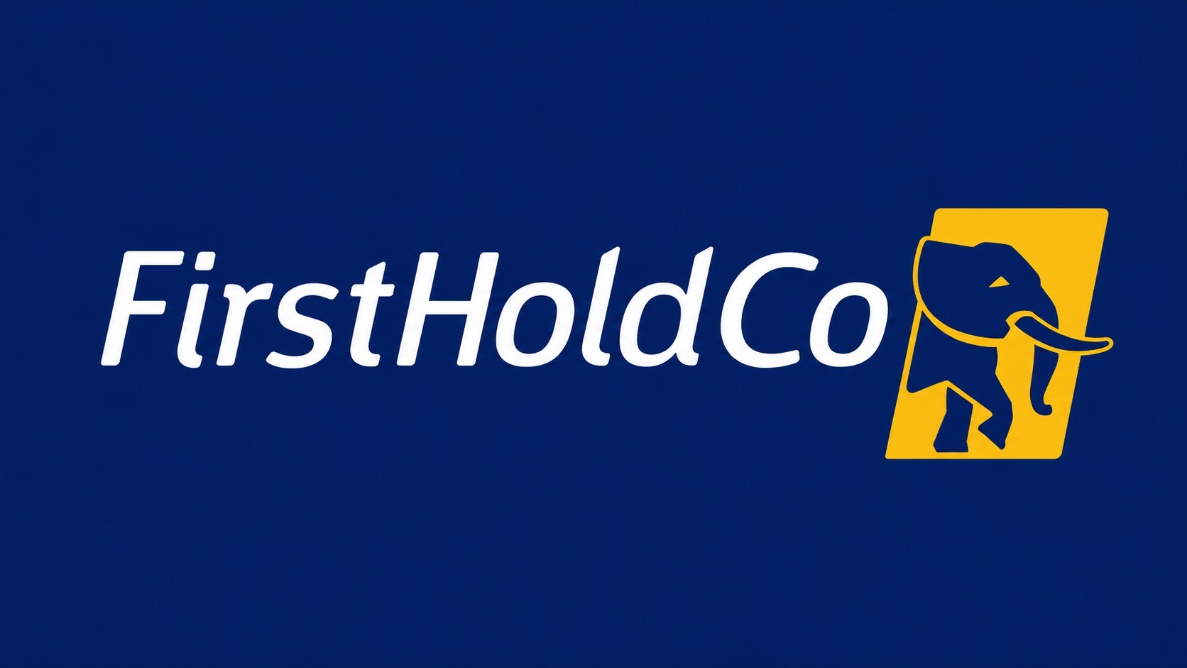 FIRSTHOLDCO - THEWILL NEWS MEDIA FIRSTHOLDCO