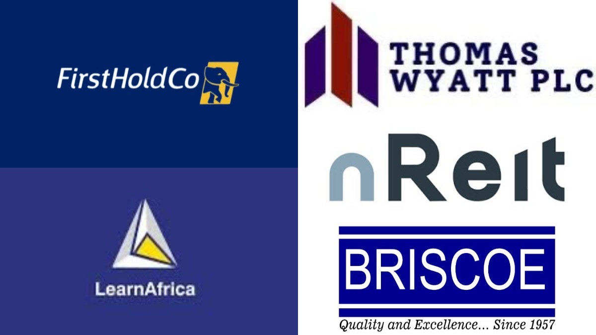 FirstHoldCo, Thomas Wyatt, Learn Africa, Briscoe - THEWILL NEWS MEDIA FirstHoldCo, Thomas Wyatt, Learn Africa, Briscoe