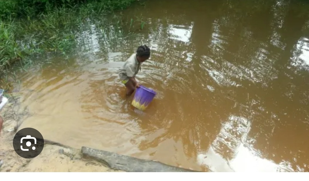 A typical source of water for the people - THEWILL NEWS MEDIA Child wades through muddy water holding a purple bucket near a grassy bank