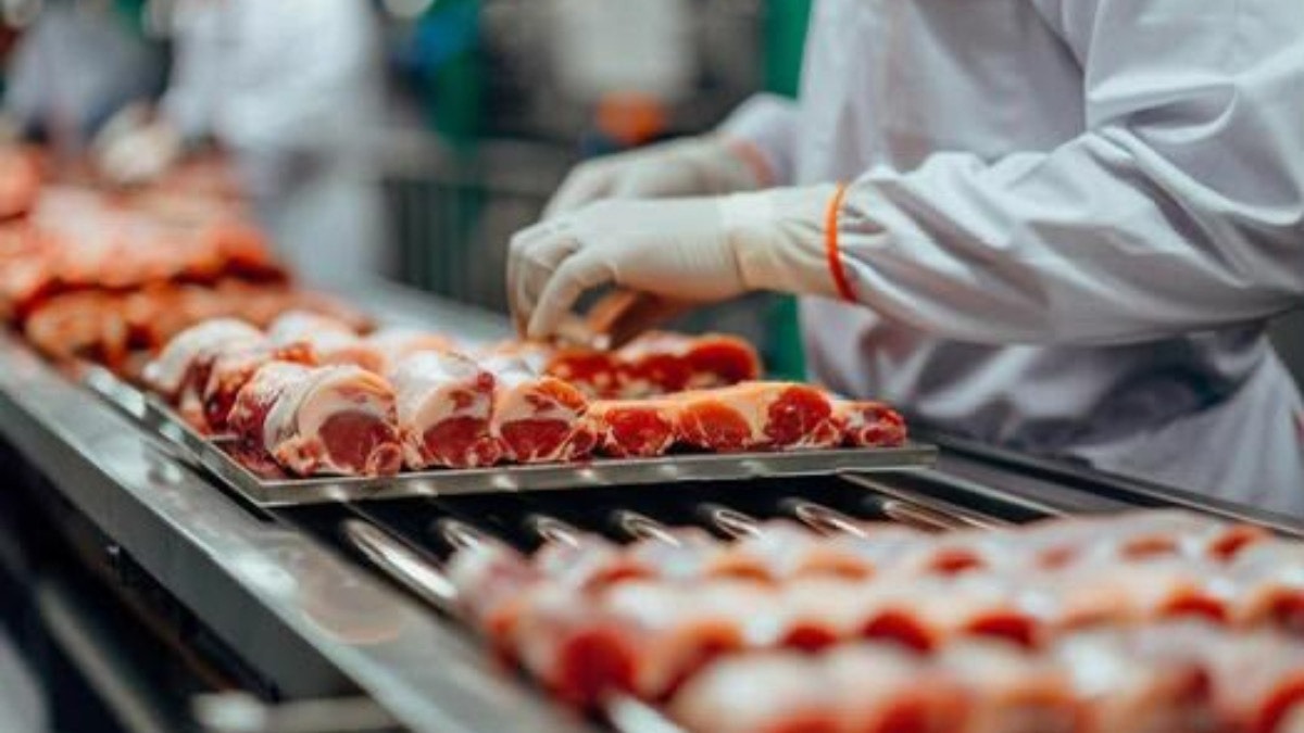 A representation of livestock processing and value creation. Photo credit: Vecteezy - THEWILL NEWS MEDIA